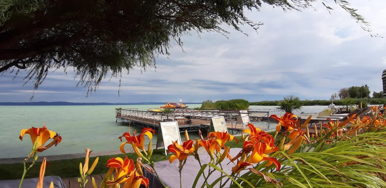 Villa Bori ชิโอฟก ภายนอก รูปภาพ